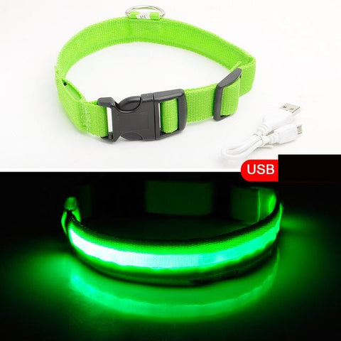 HondVeilig Pro - LED-Halsband für Hunde - Fühle dich sicher und stylisch beim Gassi gehen