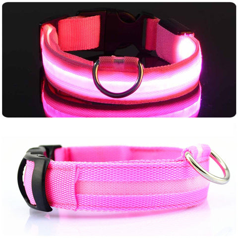 HondVeilig Pro - LED-Halsband für Hunde - Fühle dich sicher und stylisch beim Gassi gehen